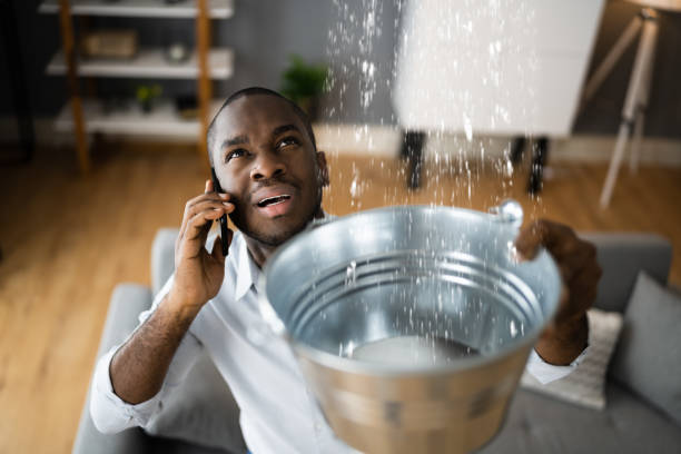 Best Flood restoration services  in New Kingman Butler, AZ