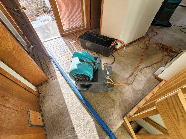 Best Water damage restoration near me  in New Kingman Butler, AZ
