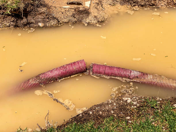 Best Emergency water extraction  in New Kingman Butler, AZ