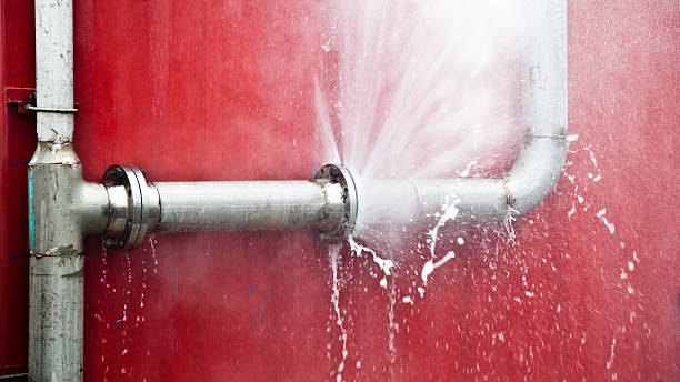 Best Basement water damage restoration  in New Kingman Butler, AZ