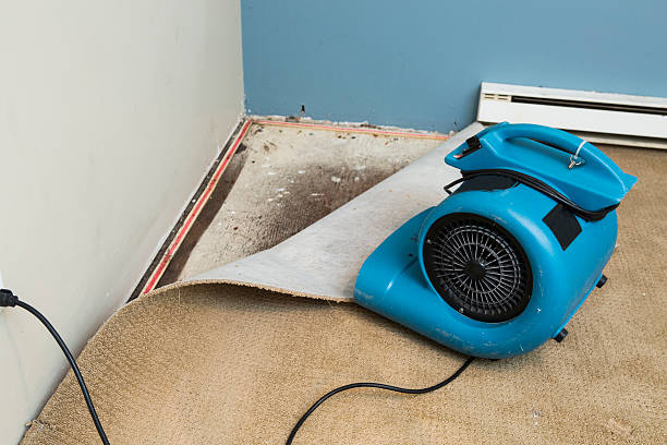 Best Ceiling water damage repair  in New Kingman Butler, AZ